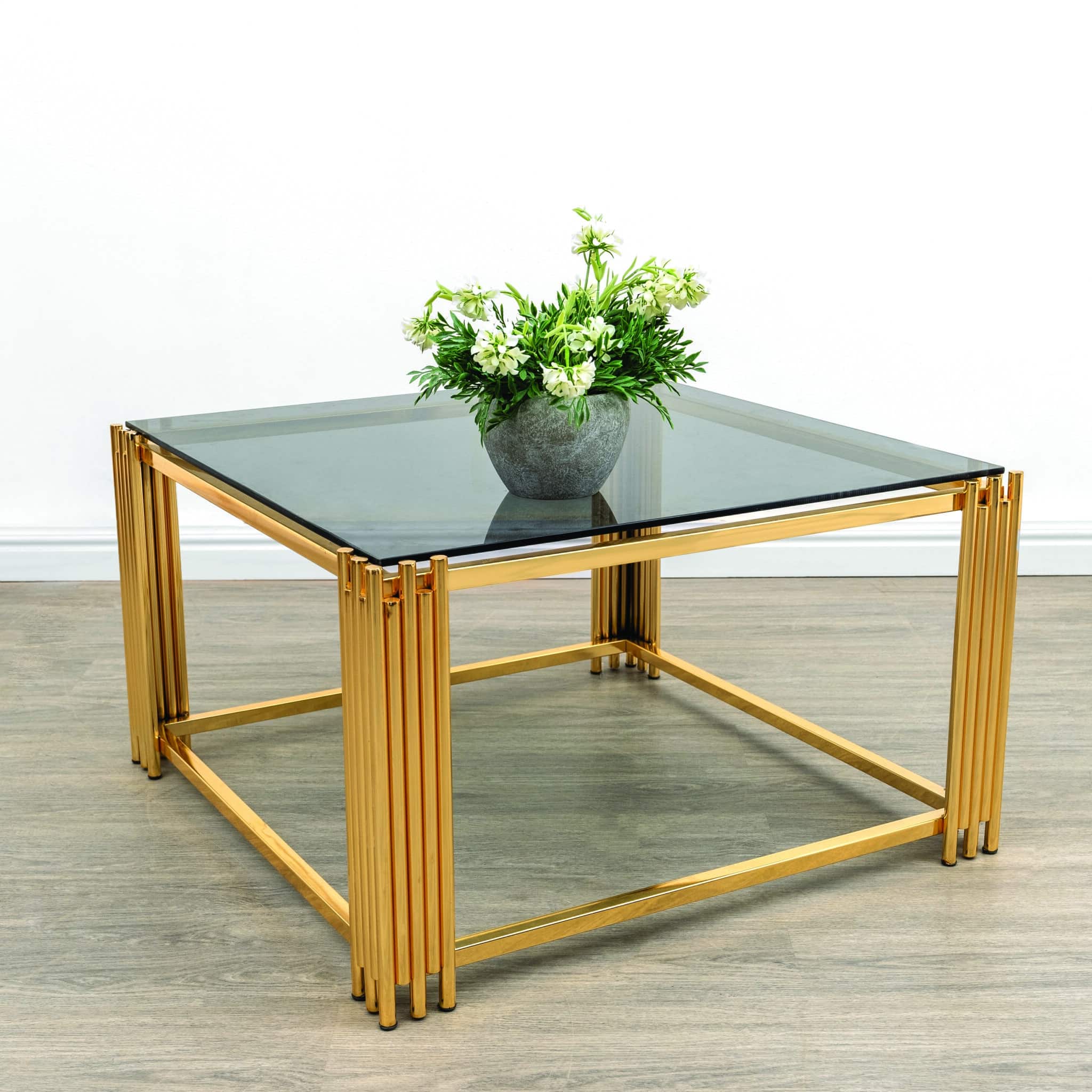 تربيزه كارنو