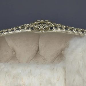 صالون دي مونتيسبان